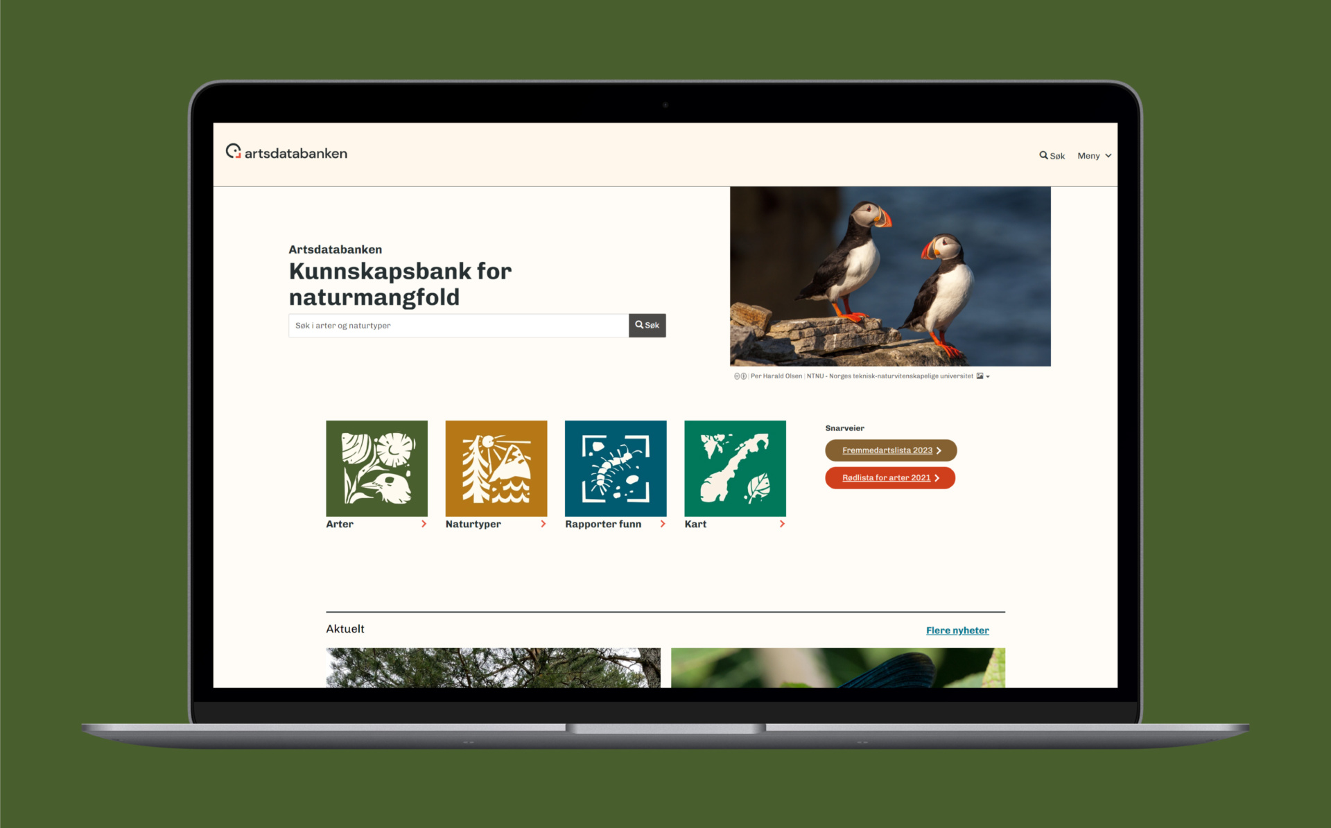 Artsdatabanken visuell identitet macbook mockup design